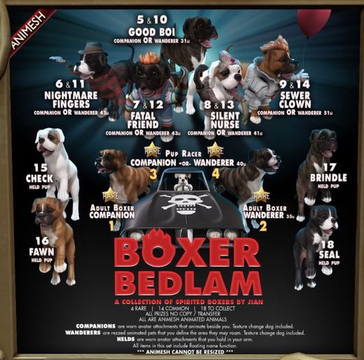 JIAN Boxer Bedlam 3. Pup Racer Companion BOX RARE