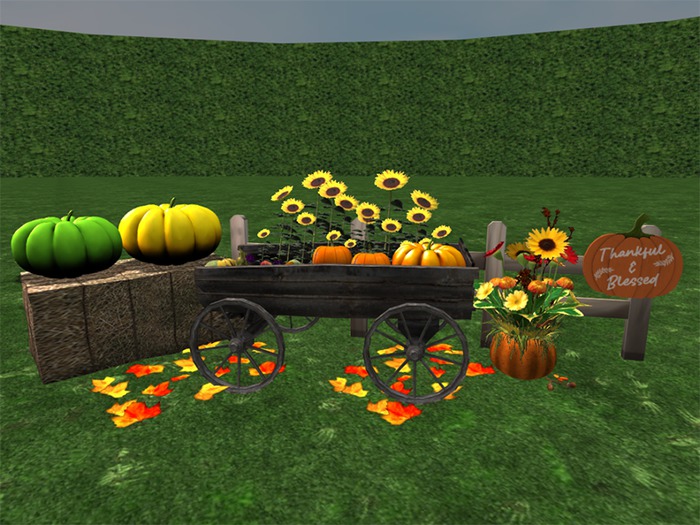 Beautiful Autumn Decoration Display