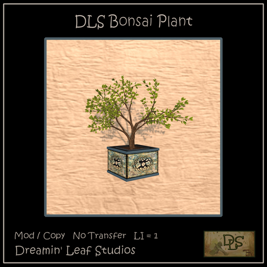 DLS Bonsai Plant