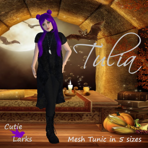 ~CL~ Tulia Tunic Dress Black