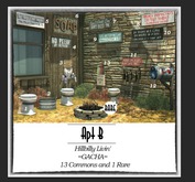 APT B // Hillbilly Livin' - Toilet