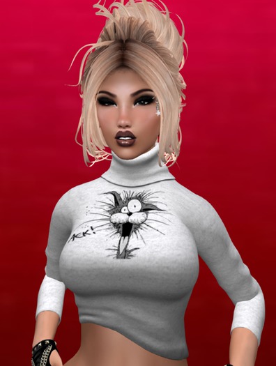 ACK HIKED TURTLENECK MAITREYA