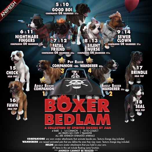 JIAN Boxer Bedlam 4. Pup Racer Wanderer BOX RARE