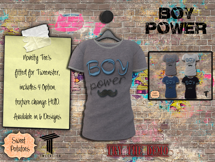 < SP > Novelty Tee's for Tweenster Boys - Boy Power