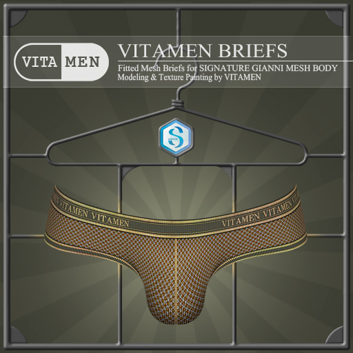VITAMEN : Briefs : MultiColor_Gray (wear to unpack)