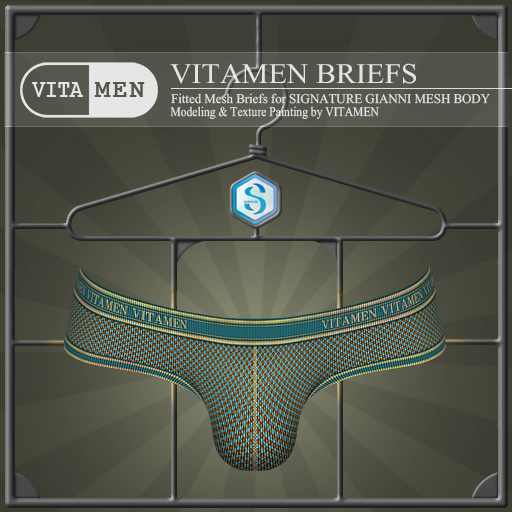 VITAMEN : Briefs : MultiColor_Blue (wear to unpack)