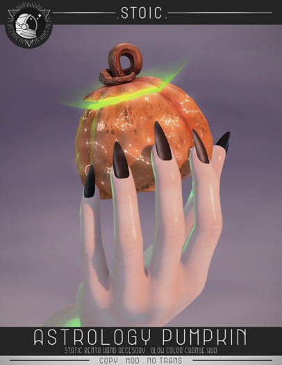.STOIC. ASTROLOGY PUMPKIN