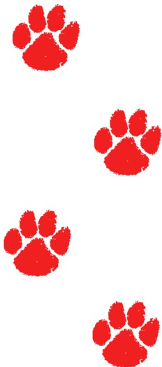 bloody paw prints