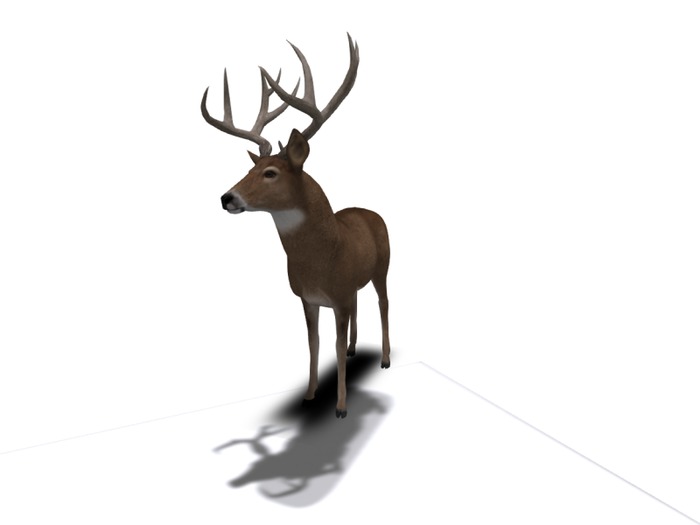 Halloween Gacha No.4 box 40 / RARE