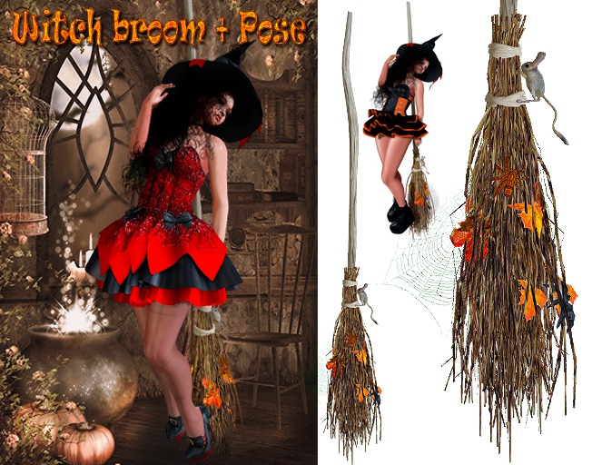 InStyle -Witch broom + Pose