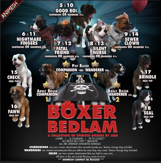JIAN Boxer Bedlam 7. Fatal Friend Companion BOX