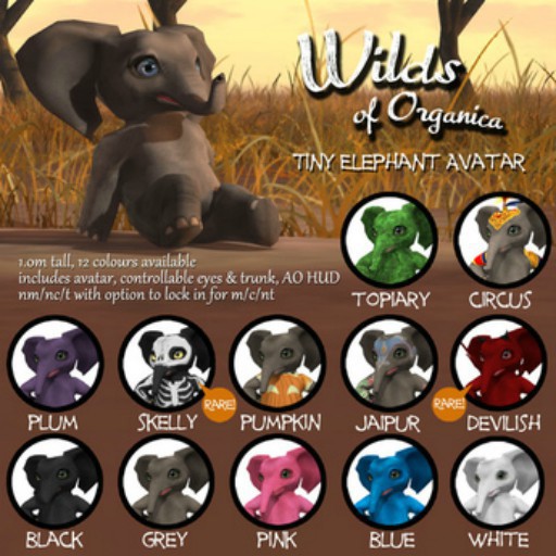 [ WoO ] Tiny Elephant (Pumpkin)(T)