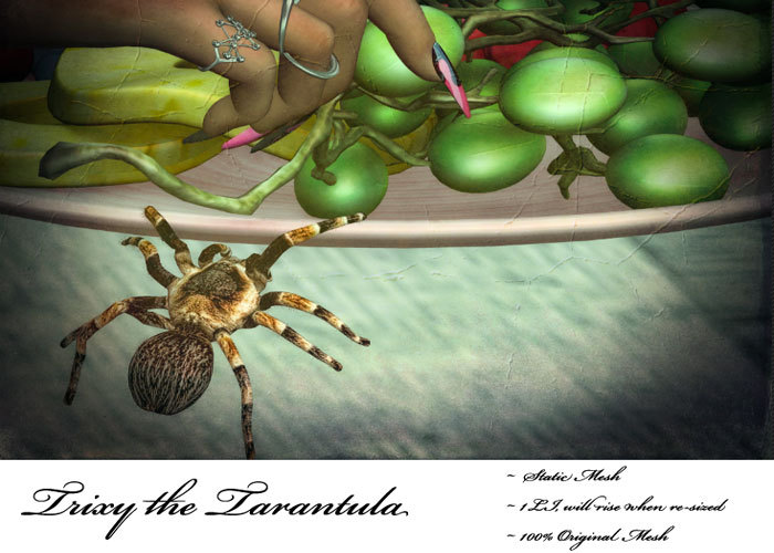 .:Tribal Tuesday:. Trixy the Tarantula (Boxed)