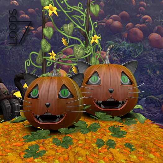 LOODS7 Smiling-o'-cat pumpkin (add)