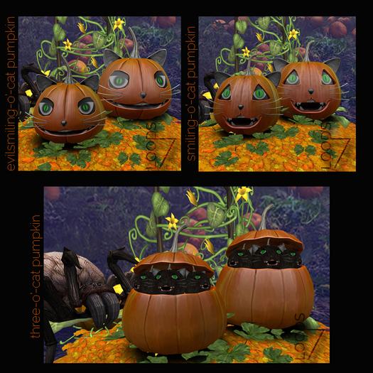 LOODS7 Helloween - o'- cat pumpkin FATPACK(add)