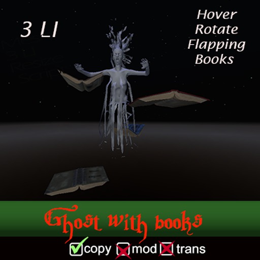 Ghost with Books (Boxed)