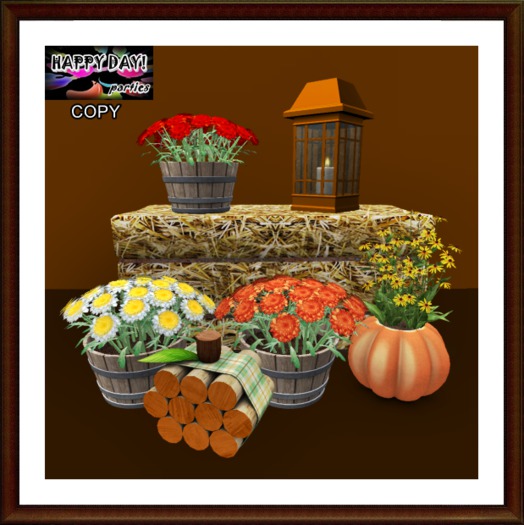 Autumn - Decorative Hay