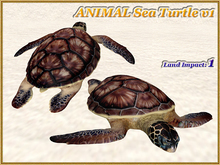 ANIMAL Sea Turtle v1 (1 LI) (Full perm)