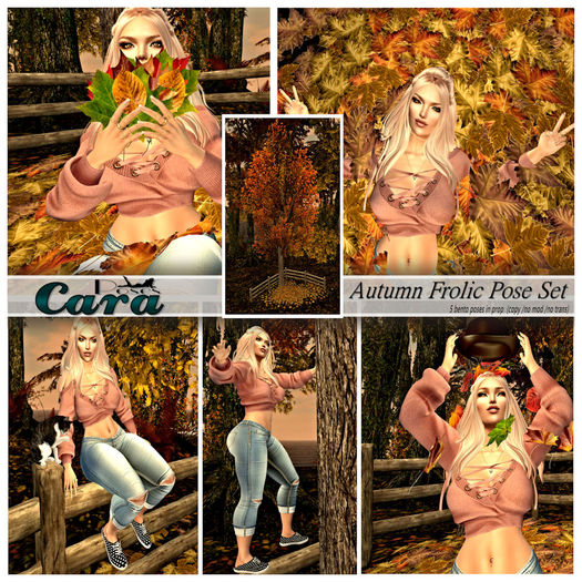 Cara's Poses Autumn Frolic Pose Set {Boxed} [REZ]