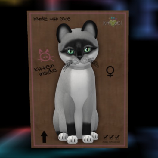 KittyCatS Box - 8T Foxie - Salt & Pepper Mask [F]