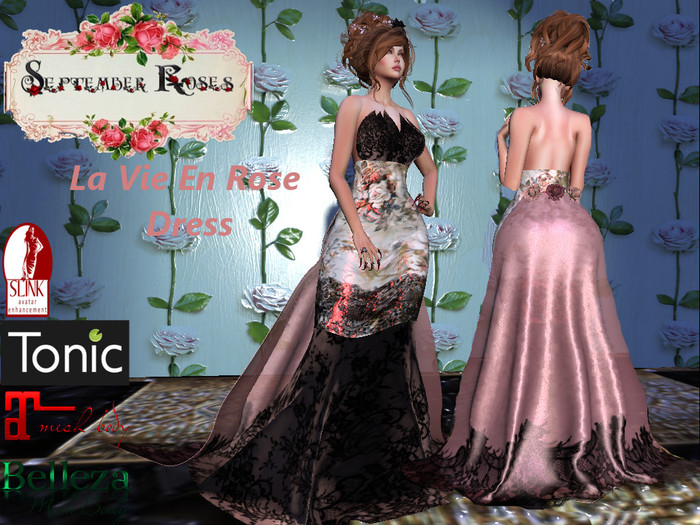 La Vie En Rose  Dress (BoX)