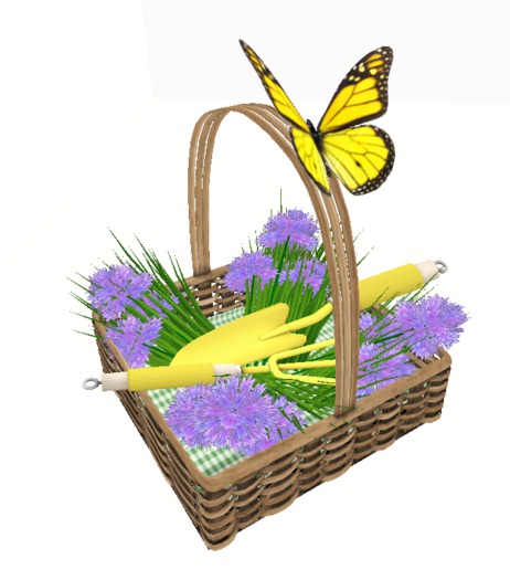 DFS Flowers - Chive Basket