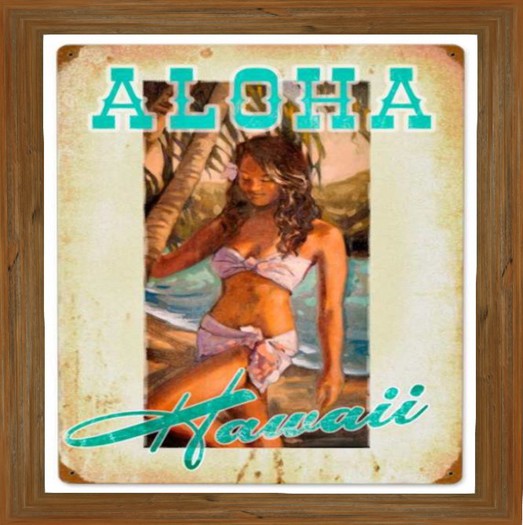 Hawaii Aloha Steel