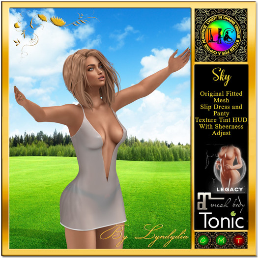 DEMO Sky Slip Dress And Panty