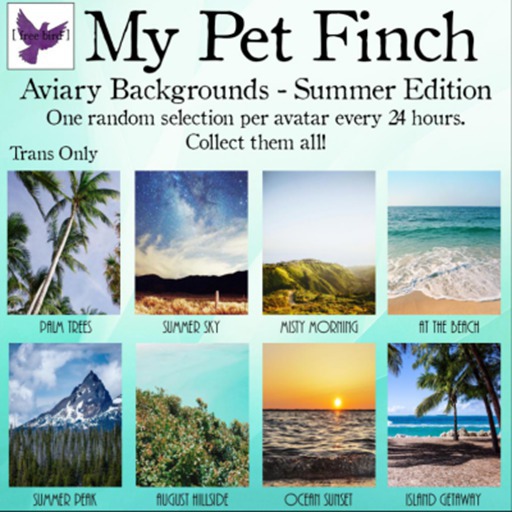 [ free bird ] My Pet Finch Aviary Back - Ocean Sunset