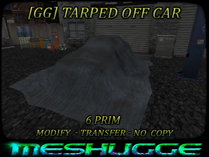 Tarped off Car