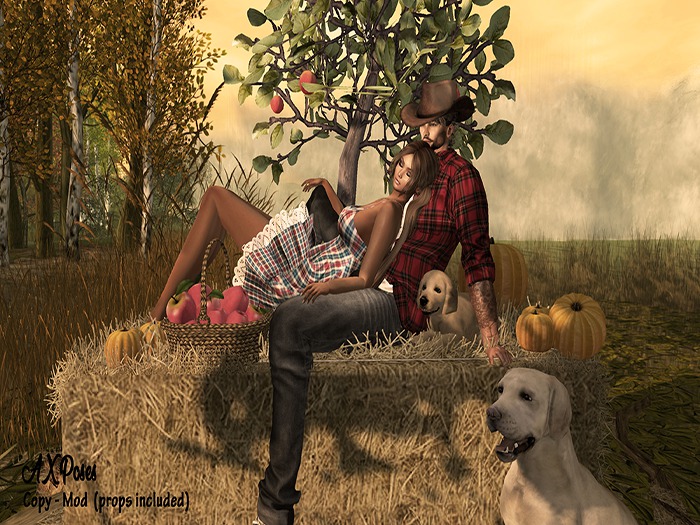 Autumn is coming [AX Poses]