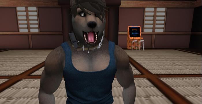 (BOXED) Seths giggle snort [SR INDUSTRYS]