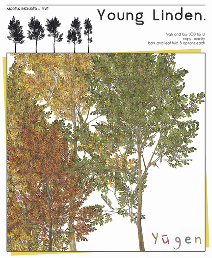 Yūgen.// young linden trees