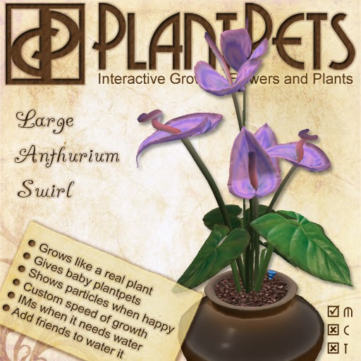 PlantPet Seed [Large Anthurium *Swirl*]