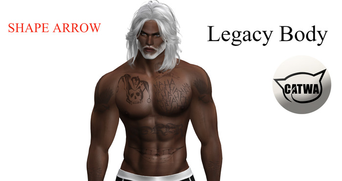 Shape  ARROW X Stanley Legacy Body