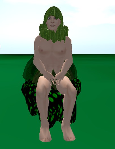 Fairy Forest Boy in green with Dragonfly Wings