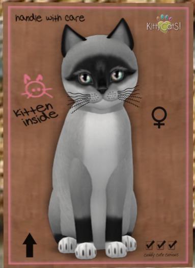 KittyCatS Box - Foxie - Salt & Pepper Mask