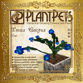 PlantPet Seed [Xmas Cactus *Blue*]