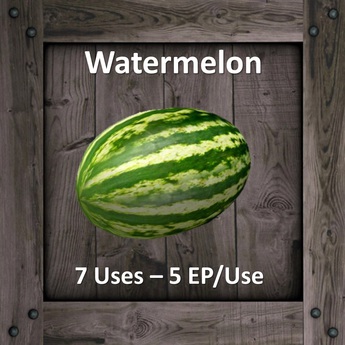 Second Life Marketplace - DFS Watermelon (DFS - Texture Only)