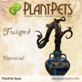 PlantPet Seed [Twisted *Carnival*], common / Trusted Breeder of PP