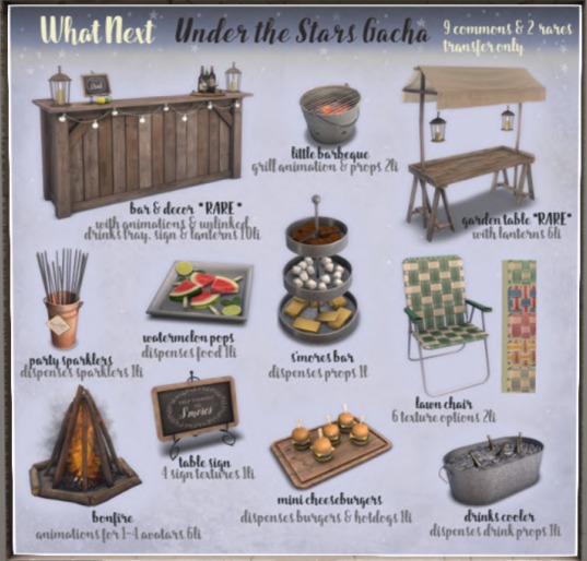 {what next} Little Barbeque TRANS