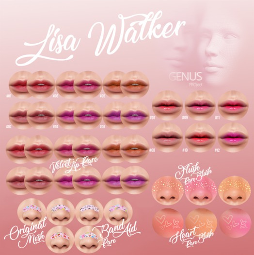 L.W HEART BLUSH BOX (GENUS) RARE