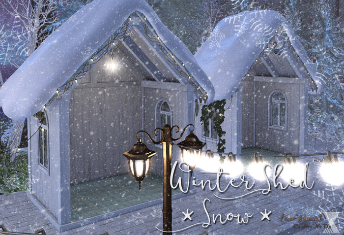{co*ffee} Winter Shed Snow