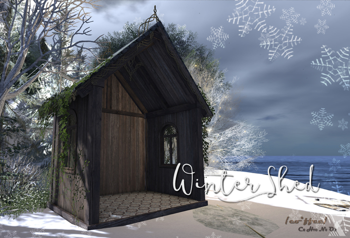 {co*ffee} Winter Shed