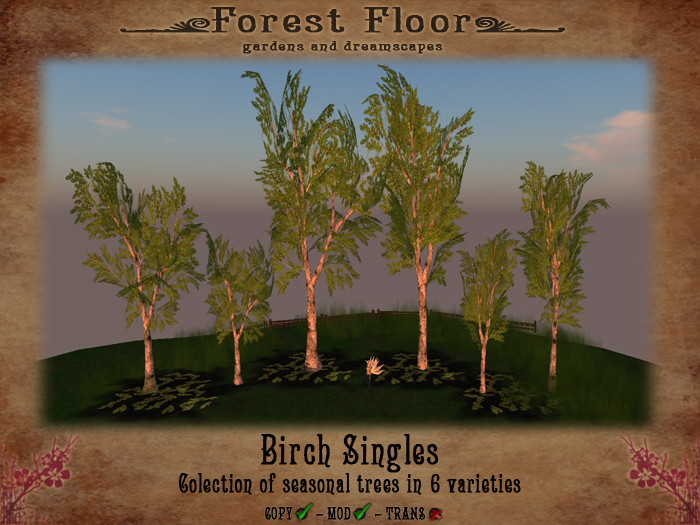 ~*Forest Floor*~ Birch Singles (Boxed)