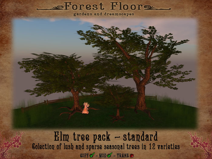 ~*Forest Floor*~ Elm Pack - Standard