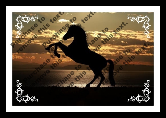 ~KF~ Wall Art Horse Sunset FRAMED
