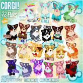 Corgi! (Reginald Fuzzy Bottom) ~silentsparrow~ RARE