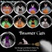 Baby sunshine broomer cats gachaland october 2019 %2869l%29