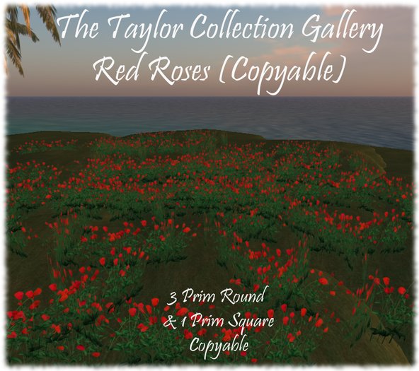 Taylor's Red Roses (copyable)